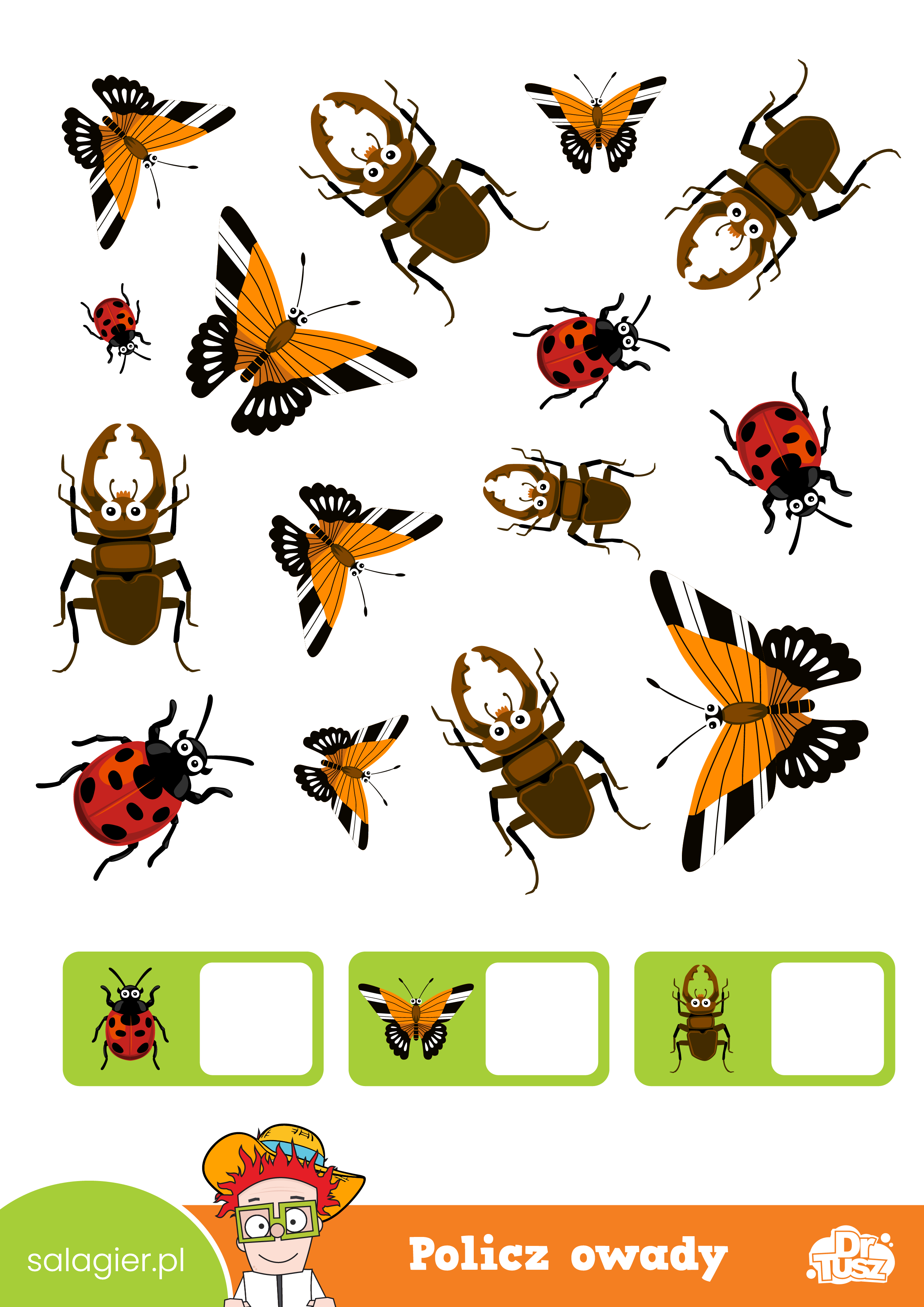 Zadanie z policzeniem 3 rodzajów owadów